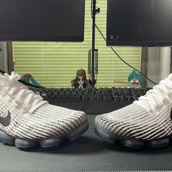 Zebra vapor max